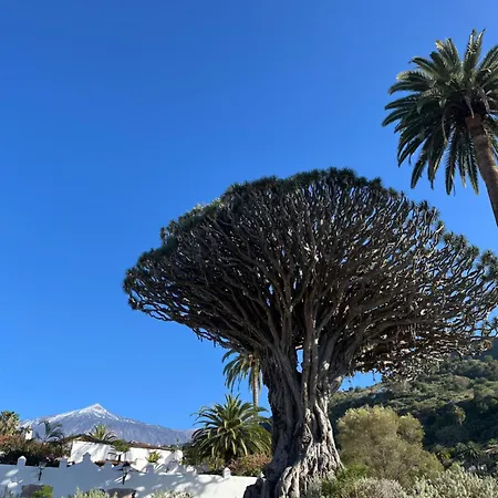 Cosy Flat With Sea View, Pool And Terrace In Altamira-complex In - Playa Del Duque 公寓 *