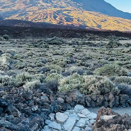 Cosy Flat With Sea View, Pool And Terrace In Altamira-complex In - Playa Del Duque 阿德耶