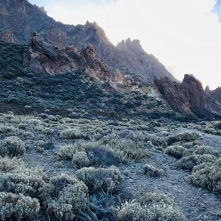 Cosy Flat With Sea View, Pool And Terrace In Altamira-complex In - Playa Del Duque *