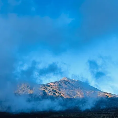 公寓 Cosy Flat With Sea View, Pool And Terrace In Altamira-complex In - Playa Del Duque 阿德耶