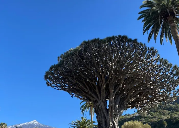 Cosy Flat With Sea View, Pool And Terrace In Altamira-complex In - Playa Del Duque Apartmán *