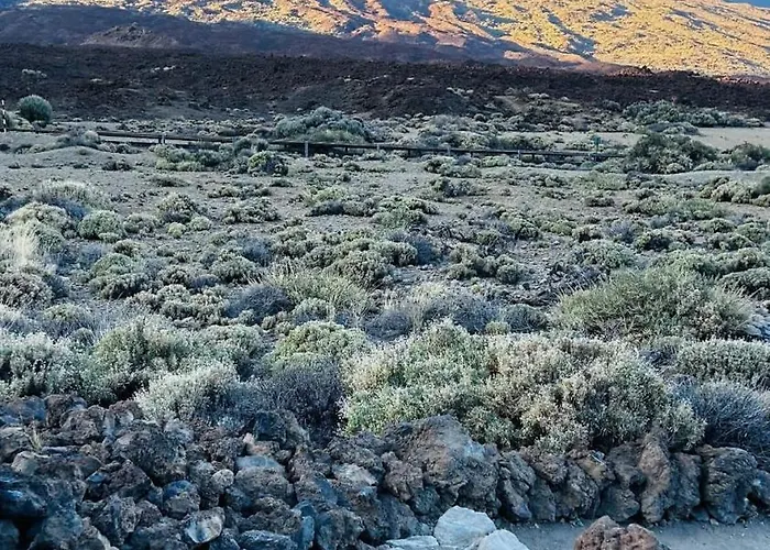 Cosy Flat With Sea View, Pool And Terrace In Altamira-complex In - Playa Del Duque Costa Adeje (Tenerife)