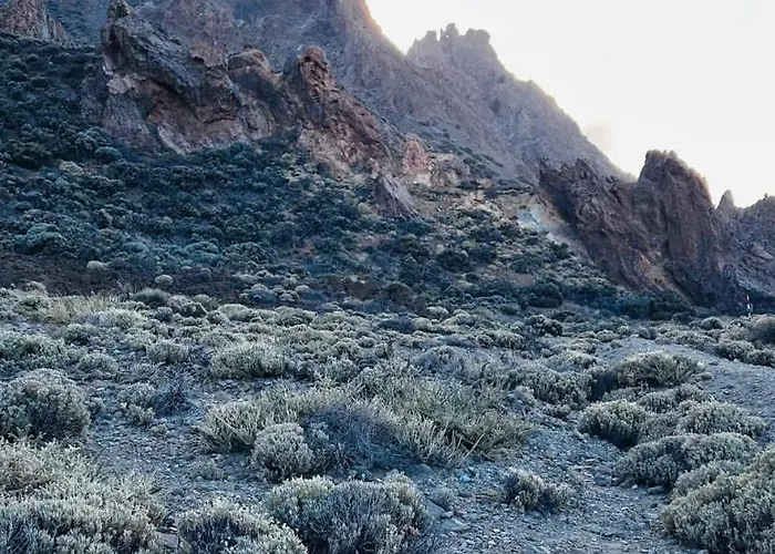 Cosy Flat With Sea View, Pool And Terrace In Altamira-complex In - Playa Del Duque *